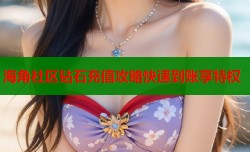 海角社区钻石充值攻略快速到账享特权