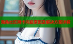 海角社区网卡问题原因及解决方案详解