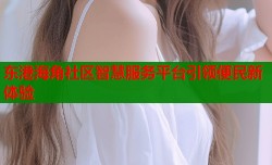 东港海角社区智慧服务平台引领便民新体验