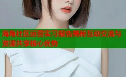 海角社区运营实习报告揭秘互动交流与资源共享核心优势