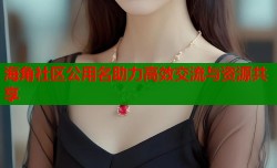 海角社区公用名助力高效交流与资源共享