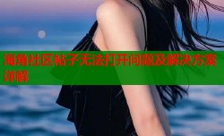 海角社区帖子无法打开问题及解决方案详解