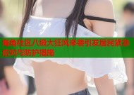 海角社区八级大狂风来袭引发居民紧急应对与防护措施