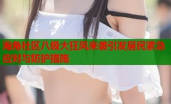 海角社区八级大狂风来袭引发居民紧急应对与防护措施