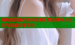海角社区国内访问攻略汇聚全球华人社交与资源分享平台