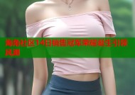 海角社区14日销售冠军荣耀诞生引领风潮
