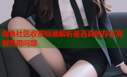 海角社区收费标准解析是否真的存在高额费用问题
