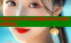 海角社区名字大全高清图片展示与详细解析精选