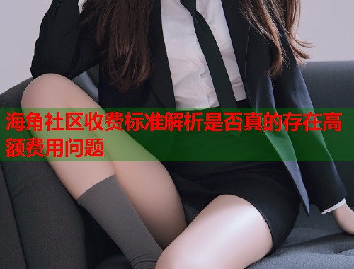 海角社区收费标准解析是否真的存在高额费用问题  第1张