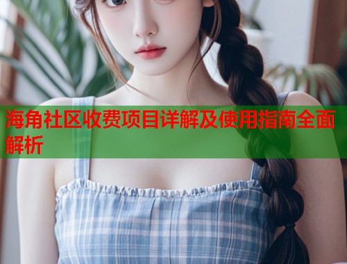 海角社区收费项目详解及使用指南全面解析  第1张