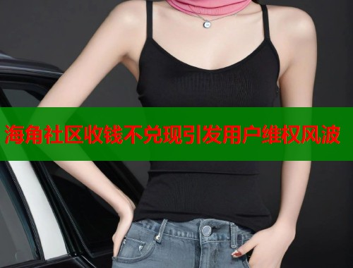 海角社区收钱不兑现引发用户维权风波  第1张