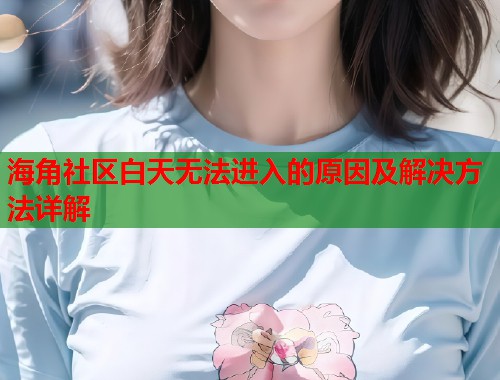 海角社区白天无法进入的原因及解决方法详解  第2张
