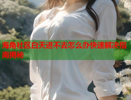 海角社区白天进不去怎么办快速解决指南揭秘  第1张