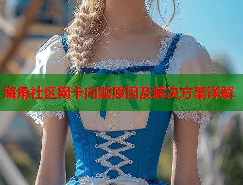 海角社区网卡问题原因及解决方案详解  第2张