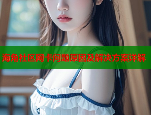 海角社区网卡问题原因及解决方案详解  第1张