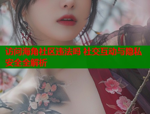 访问海角社区违法吗 社交互动与隐私安全全解析  第2张