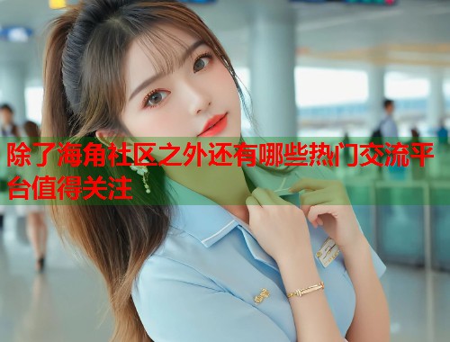 除了海角社区之外还有哪些热门交流平台值得关注  第1张